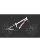 Bicicleta DEED ROOKIE 240 24"